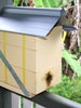 Hive Stocked With Bees